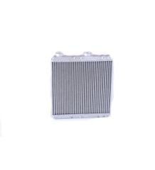 Radyatör Kalorifer Laguna III