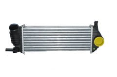 Turbo Radyatörü Kango 3