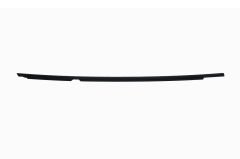 Sol Arka Kapı Cam Kenar Çıtası Egea (Siyah)