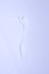 Cam Yıkama Fiskiye Depo Borusu Linea