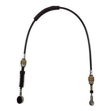 Vites Teli Palio-Siena