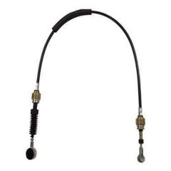 Vites Teli Palio-Siena