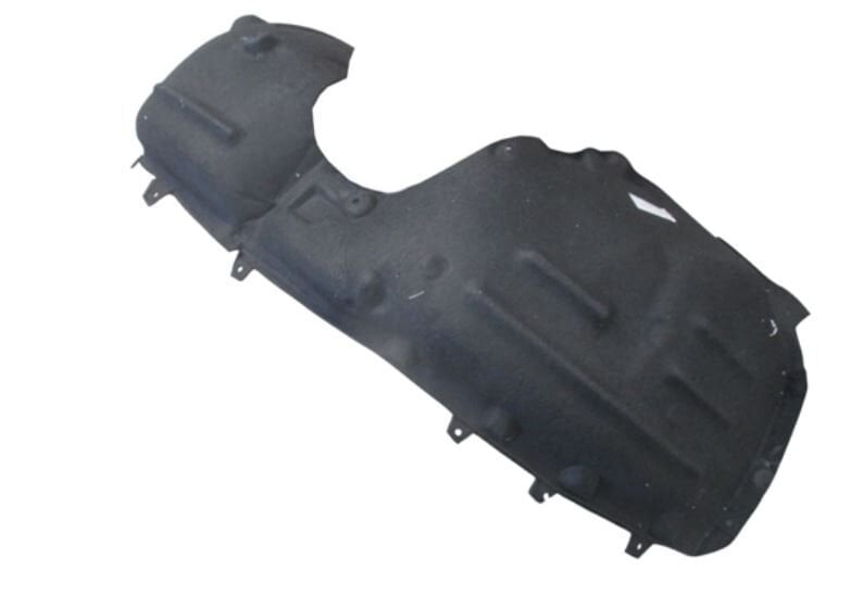 Çamurluk Davlumbazı Sağ Ön BYD Dolphin 2024-2025 Arası (Halı)