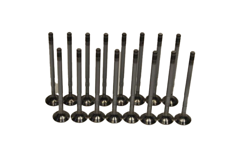 Subap Kaydı Takımı 1.2-1.4 16 Valf (95 Hp) Doblo 2010 Sonrası Modeller İçin-Grande Punto-Linea