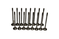 Subap Kaydı Takımı 1.2-1.4 16 Valf (95 Hp) Doblo 2010 Sonrası Modeller İçin-Grande Punto-Linea