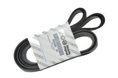 Alternatör Kayışı 1.3 Linea-Doblo (Euro 5)