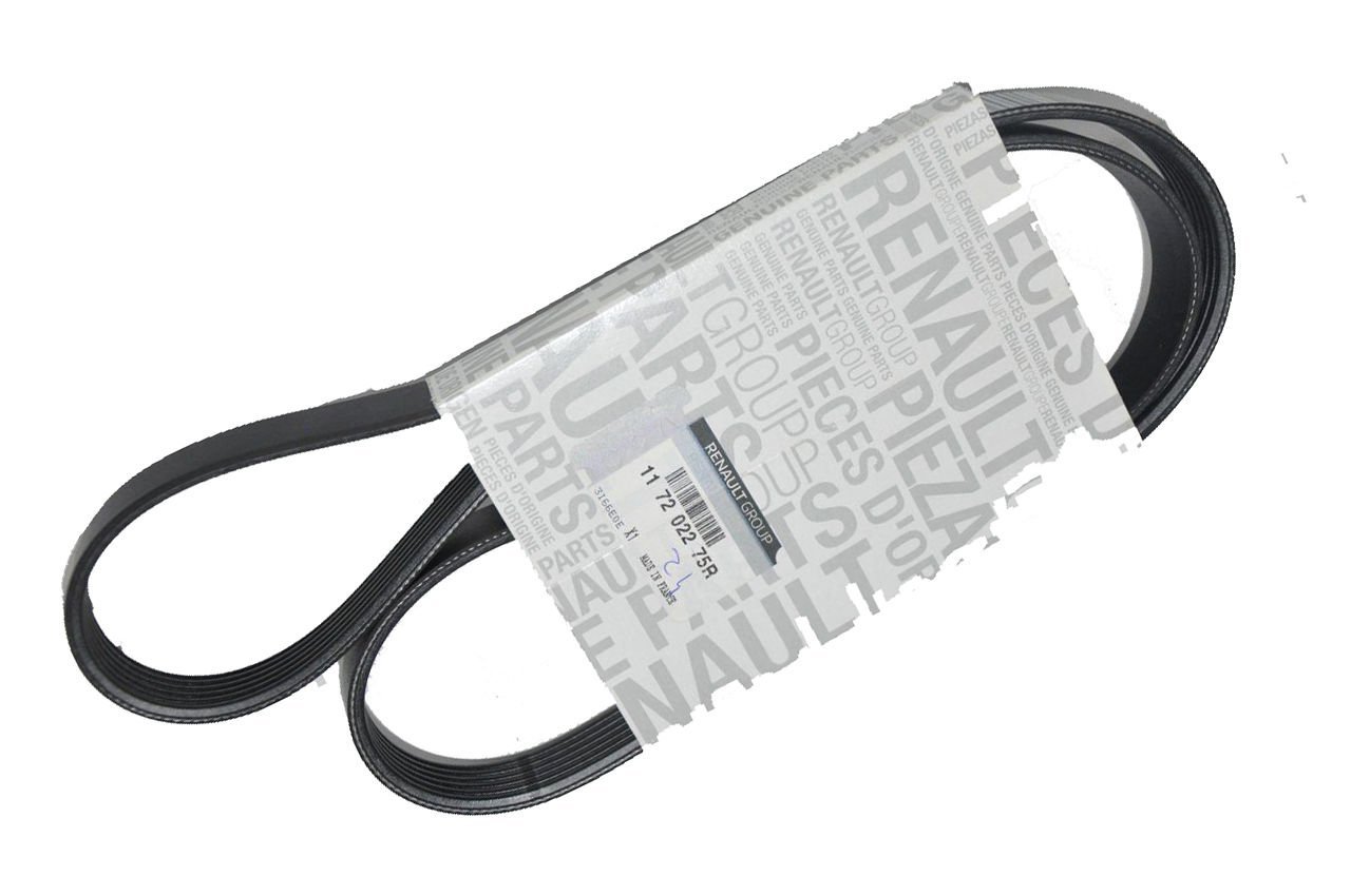 Alternatör Kayışı 1.5 Clio Symbol 2016 Sonrası- Sandero 2 2016 Sonrası