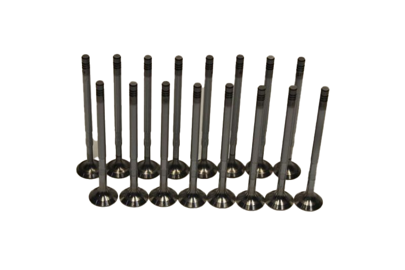 Subap Kaydı Takımı 1.2-1.4 16 Valf (95 Hp) Doblo 2010 Sonrası Modeller İçin-Grande Punto-Linea