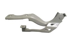Kaput Menteşesi Sol Mg Zs Ev 20-21 Arası