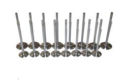 Subap Emme Egzoz Takımı 1.6 16V H4M Megane 4-Duster