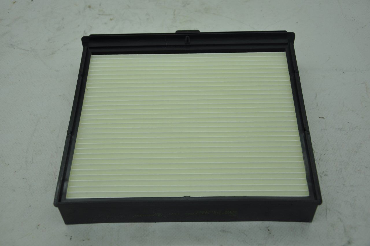 Polen Filitresi Megane Scenic 2