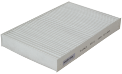 Polen Filtresi Fluence