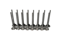 Subap Emme Egzoz Takımı 1.2 16 Valf Palio-Albea1.4 Egea (Kısa Tırnak)