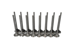 Subap Emme Egzoz Takımı 2.0 16 Valf Megane-Laguna