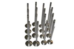 Motor Subap Emme Eksoz Tk.1.2 16 Valf Clio-Modüs-Twingo