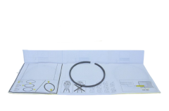 Segman Takımı Std 1.9 Kango Em-R19-Expres F8Q