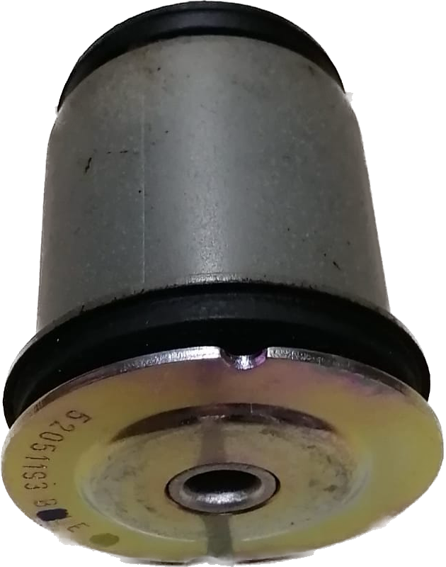 Torsiyon Burcu Arka Egea