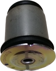 Torsiyon Burcu Arka Egea