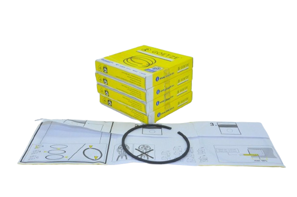 Segman Takımı Std 1.8-2.0 8 Valf Megane- Laguna F3R