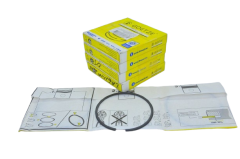 Segman Takımı 0.50 1.8-2.0 8 Valf Megane-Laguna