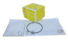 Segman Takımı 0.50 2.3 Master 2011 Sonrası