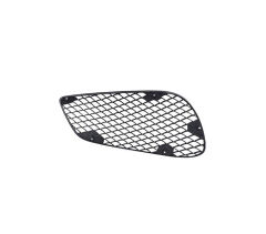 Ön Tampon Izgara Dış Sol ( Amg ) W212 2013-