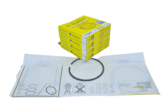 Segman Takımı Std 2.2 Master-Laguna 2