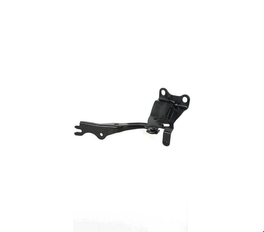 Motor Kaput Menteşesi Sağ 3 2010-