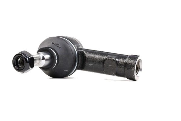 Rot Başı Şahin-Doğan-Kartal