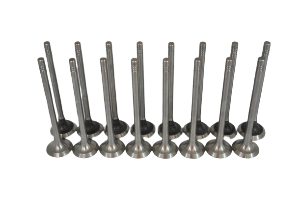 Subap Emme Egzoz Takımı 1.2 16 Valf Clio-Modüs-Twingo