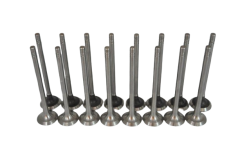 Subap Emme Egzoz Takımı 1.2 16 Valf Clio-Modüs-Twingo