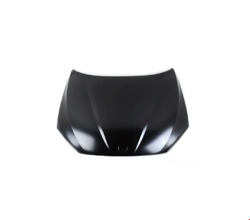 Motor Kaputu (Tyg) E84 X1 2009-