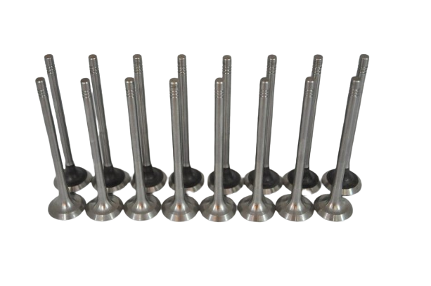 Subap Emme Egzoz Takımı 2.0 16 Valf Laguna N7Q (3 Tırnak Volvo Motor)