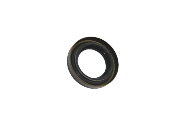 Aks Keçesi Arka Sağ Duster 4X4