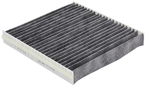 Polen Filtresi Laguna 2