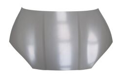 Motor Kaputu (İceli-Çekomastikli) Byd Seal 24-25 Arası