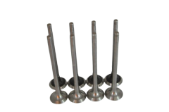 Subap Emme Egzoz Takımı 1.8-2.0 8 Valf Laguna (Uzun)