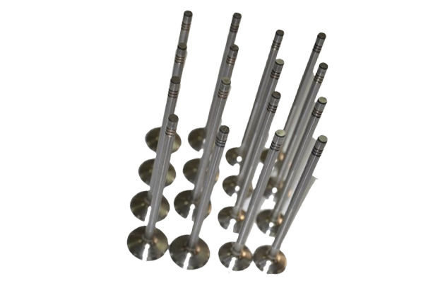 Subap Emme Egzoz Takımı 1.2 16 Valf Clio-Modüs-Twingo