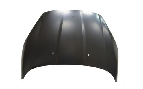 Ford Fiesta Motor Kaputu 12-