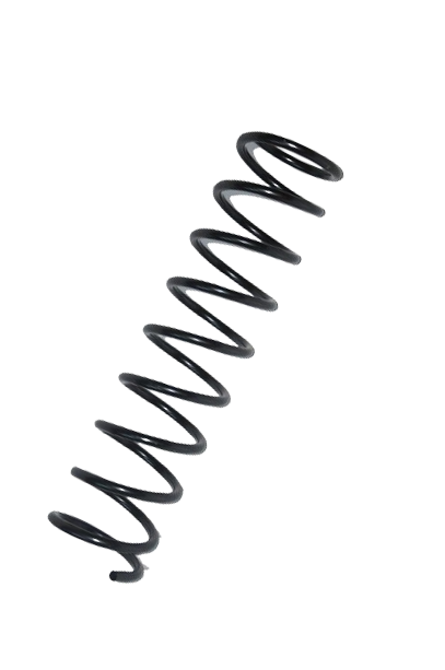 Ön Helezon Yayı Doğan-Şahin-Kartal