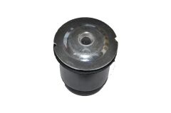 Torsiyon Burcu Albea-Palio 2002 Sonrası