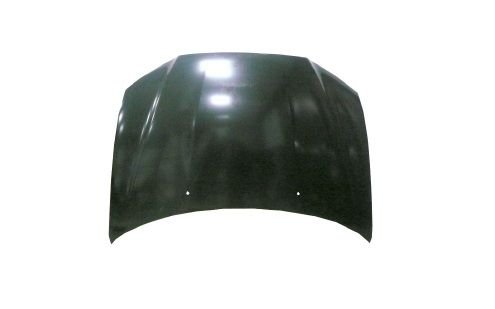 Mitsubishi Asx Motor Kaputu 10-