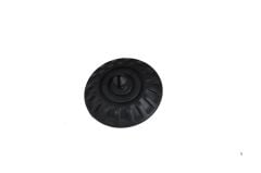 Arka Helezon Yayı Alt Burcu Fiorino